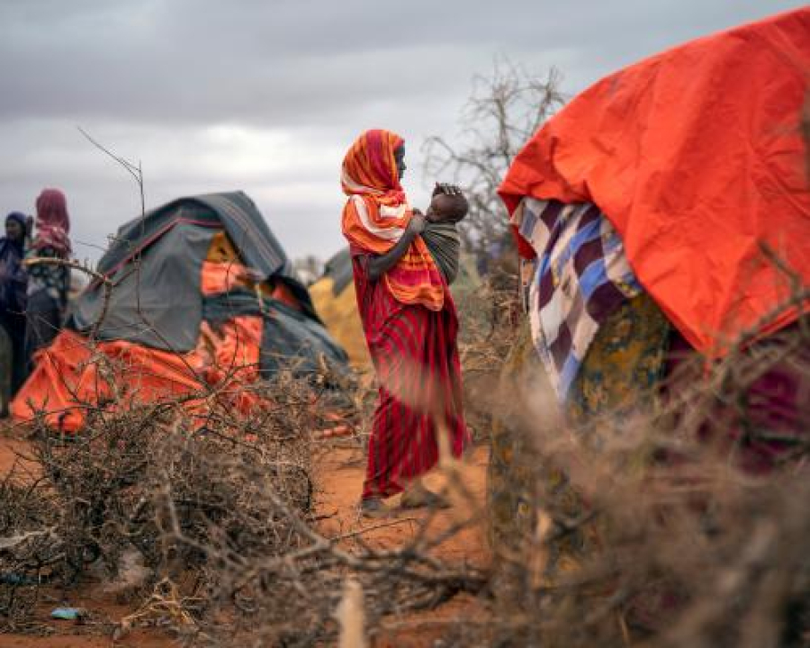 Seca extrema coloca dezenas de milhões em risco de fome em diversas regiões do mundo