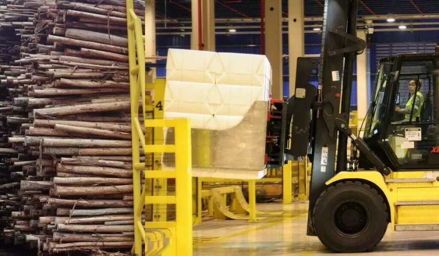 Celulose impulsiona exportações de MS, que somam US$ 5,28 bilhões no primeiro semestre